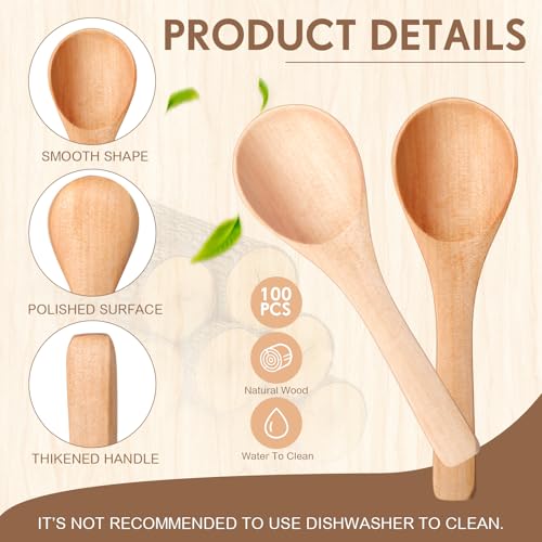 100 Pcs Small Wooden Spoons (Mix Color)