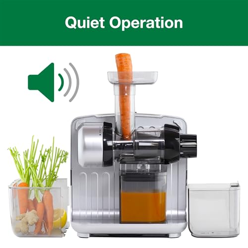 Juicer Cold Press 365 Slow Masticating Vegetable and Fruit Juice Extractor and Nutrition System Makes Nut Milks Baby Food and Sorbets (200-Watts / Silver)