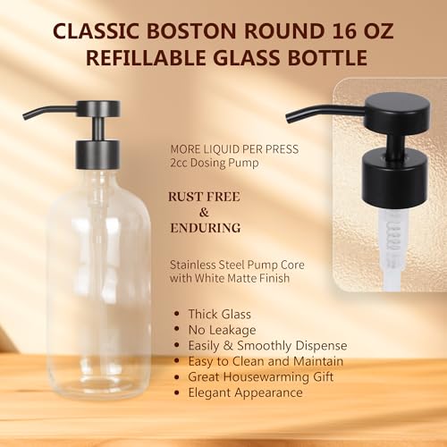 Set of 5 Kitchen Soap Dispenser Set 16 Oz Glass Hand Dish Soap Dispenser with Stainless Steel Pump (Transparency)