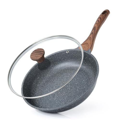 10inch Nonstick Frying Pan Chef's Pan with Glass Lid