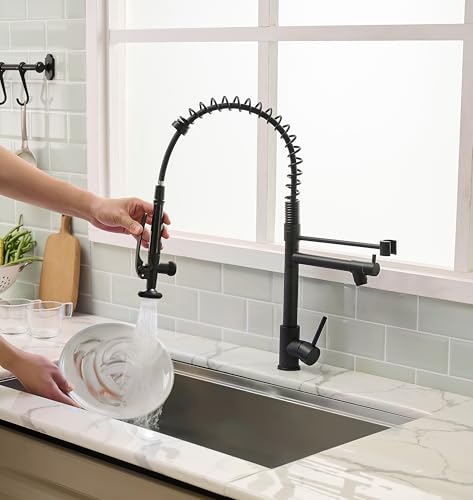Black Kitchen Faucet (Matte Black)