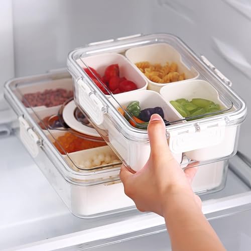 Snack Box Container (1 PC - 4 Compartments)