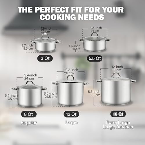 Basics 16 Quart Stainless Steel Stock Pot with Lid (16 Quarts / Silver)