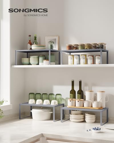 Set of 2 Metal Spice Racks (Silver / 2 Tiers (9"D x 15.7"W))