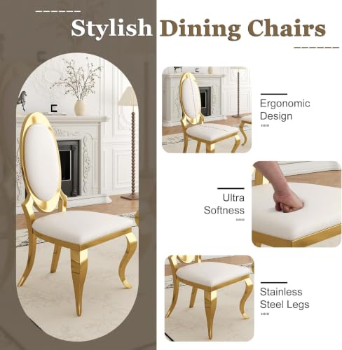 Modern Dining Chairs Set of 2 (White/Gold / Set of 2)