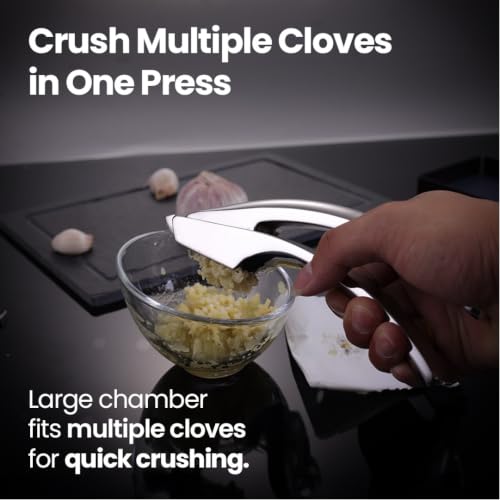 Garlic Press Lifetime Replace