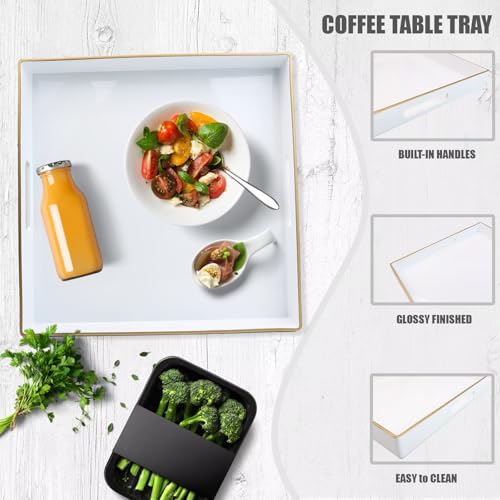 Decorative Tray (Sl005r)