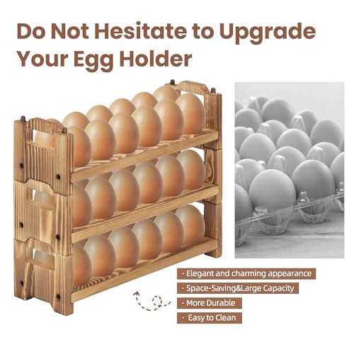 Egg Holder Countertop (36 Count)