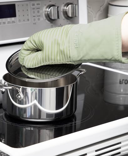 Premium Silicone Oven Mitts (Fennel / 2 Pack)