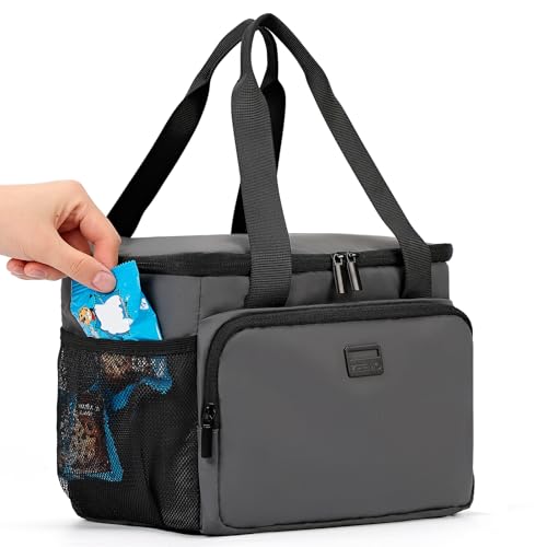 Cooler Lunch Bag (Single Layer-9L / Gray)