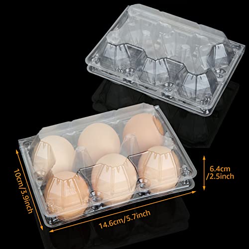 100PCS Egg Cartons Cheap Bulk