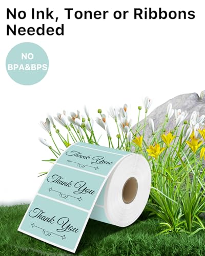 3" x 2" Thermal Labels (3"x2" / Green)