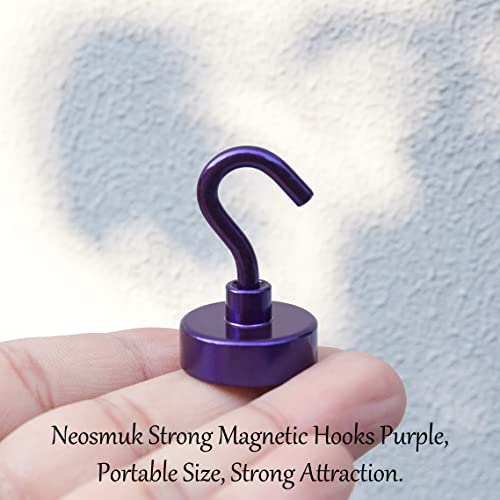 Magnetic Hooks (10 Count)