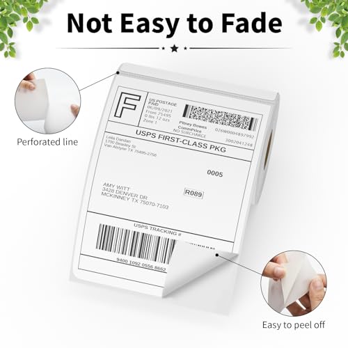 6 Rolls 4"x6" Thermal Shipping Labels