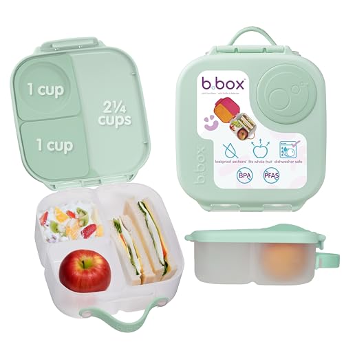 Mini Lunch Box
