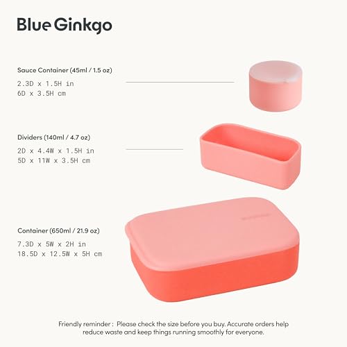 Bento Style Silicone Lunch Box Set