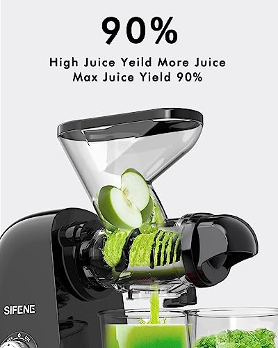 Mini Slow Masticating Juicer (Glossy Black)