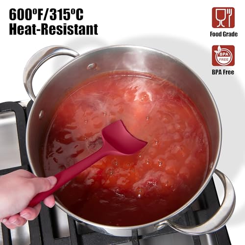 600°F Heat Resistant Silicone Spatula Spoonula (Flat & Spoon Spatulas / Aqua+Red)