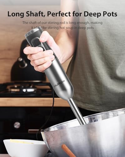 1000W Powerful Immersion Blender Handheld (Silver)