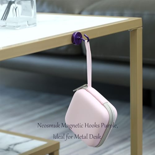 Magnetic Hooks (10 Count)