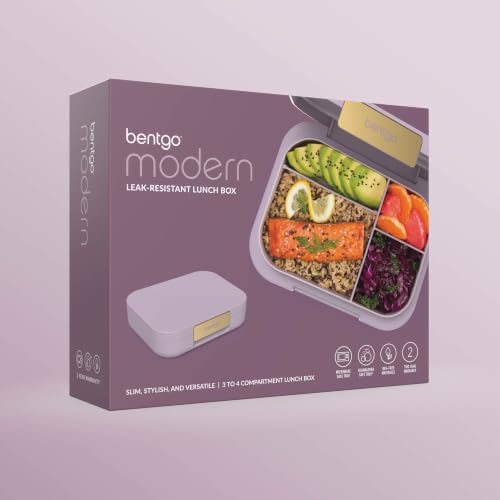 Modern Adult Bento Lunch Box with 3