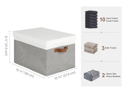 Fabric Storage Bins with Lids (Gray and White / Large)