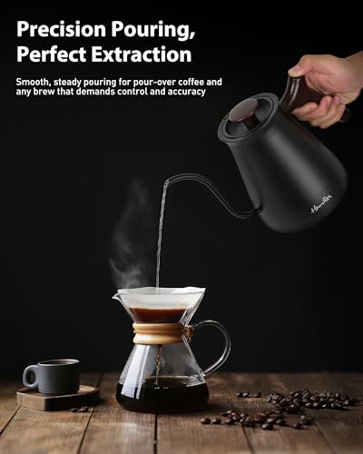 Gooseneck Electric Kettle (Black / 0.8 Quarts)
