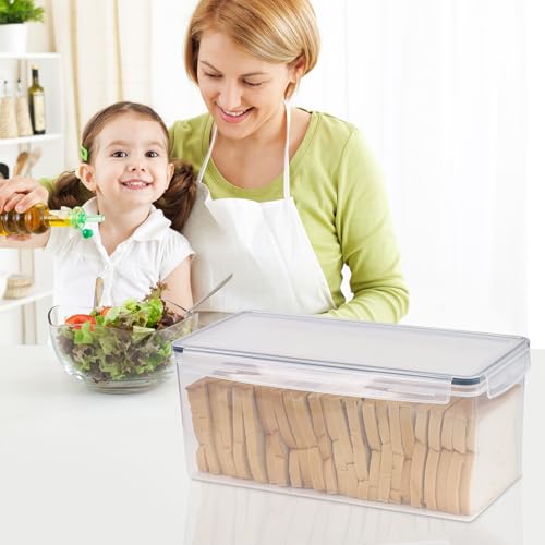 2 Pack Bread Box