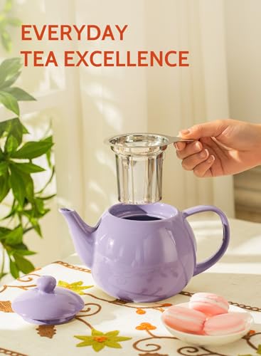 Teapots for Tea (Purple / 27oz (with infuser))