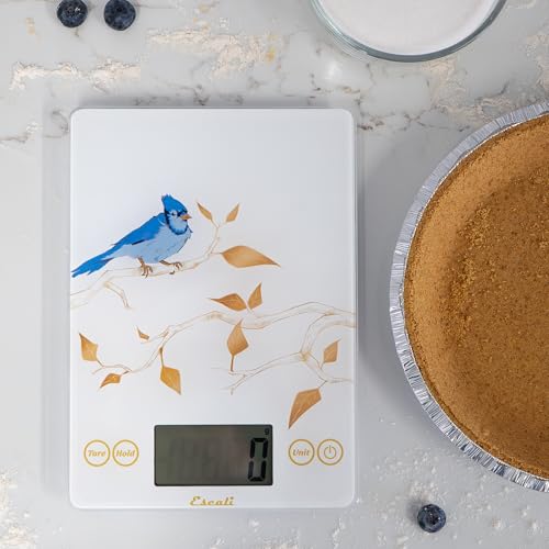 Arti Blue Jay Glass Food Scale Digital Countertop Kitchen (White / 9" X 6.5" X 0.75")