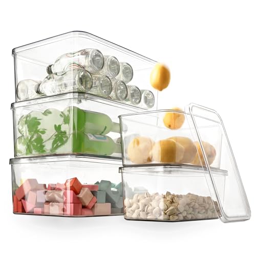 Clear Storage Bins With Lids (3L+2S)