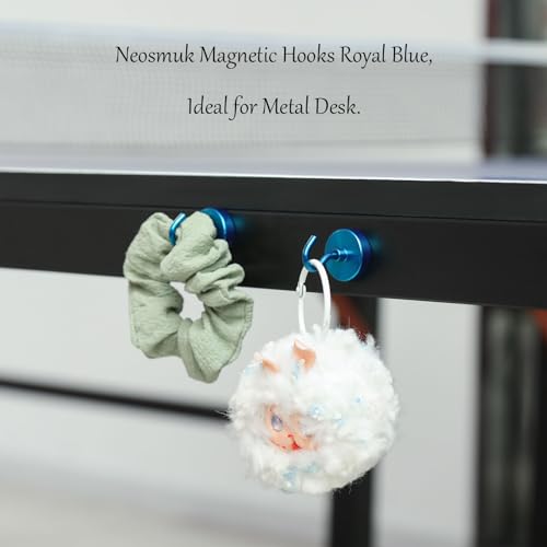 Magnetic Hooks (10 Count)