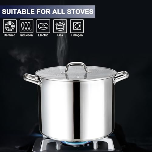 Stainless Steel Large Stock Pot (16 Quarts)