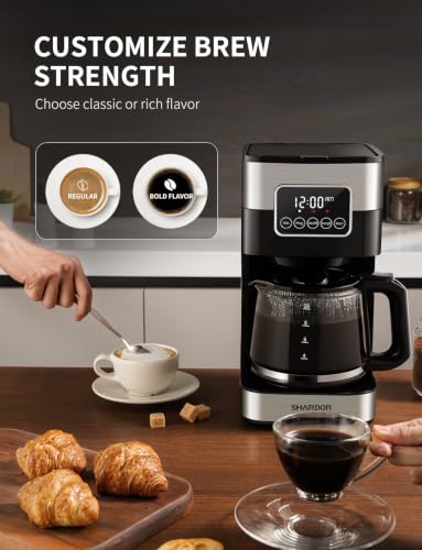 10 Cup Programmable Coffee Maker (silver)