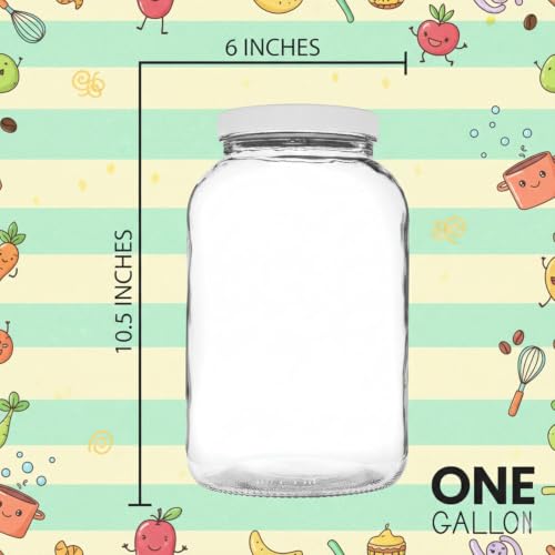 1 Gallon Glass Jar Wide Mouth with Airtight Foam Lined Plastic Lid (Clear / Pack of 3)