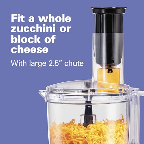 10 Cup Food Processor & Vegetable Chopper (Spiralizing, Grey and Stainless)