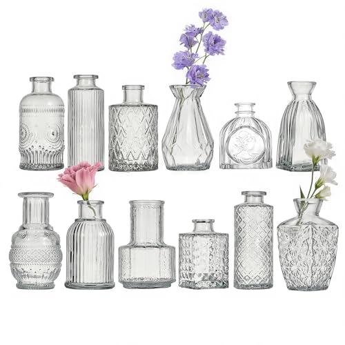 Glass Bud Vase Set of 12 Pcs Small Minimalist Vases for Flowers (Clear)