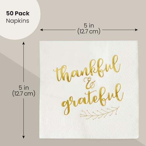 50 Pack Thanksgiving Cocktail Napkins Party Supplies Table Decorations (50 Pack)