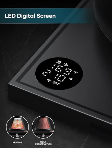 Gooseneck Electric Kettle (Black)