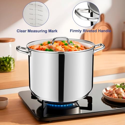 20 QT Stainless Steel Large Stock Pot (20 Quarts)