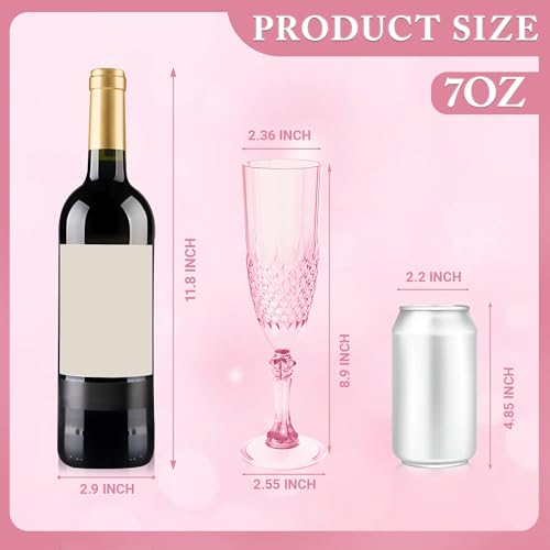 12 Pack Plastic Champagne Flutes (24 Count)