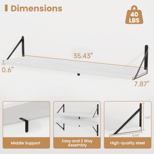 Floating Book Shelves for Wall