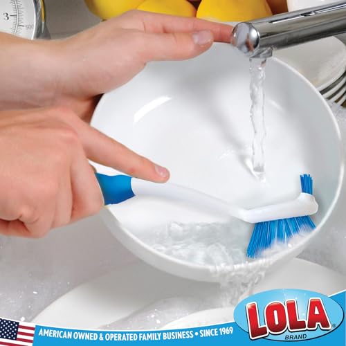 Dish Brush Scrubber for Kitchen (2 Count)
