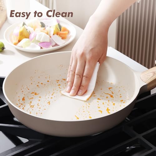 11inch Ceramic Nonstick Frying Pan Paella Pan with Lid (11 Inch / TAFFEE Taupe)