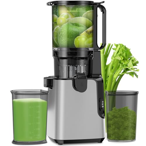 Juicer Machines with 5.8" Extra Large Feed Chute (sliver)