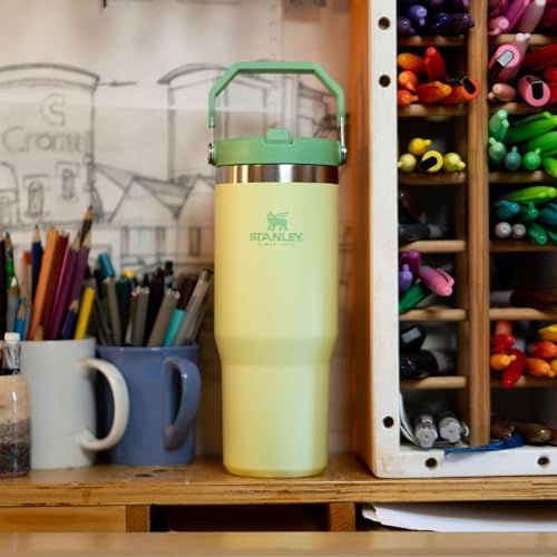 IceFlow Flip Straw Tumbler with Handle 30 oz (Citron / 30 Ounces)