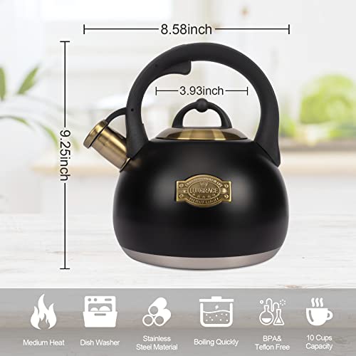 Tea Kettle for Stovetop (Black)