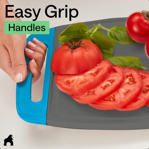 BPA Free Reversible Kitchen Cutting Board (Gray/Aqua / Large (Pack of 3))