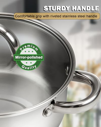 Basics 8 Quart Stainless Steel Stock Pot with Lid (8 Quarts / Silver)