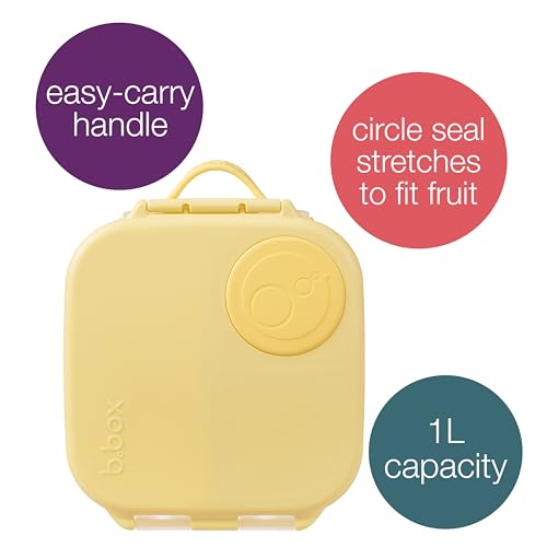 Mini Lunch Box